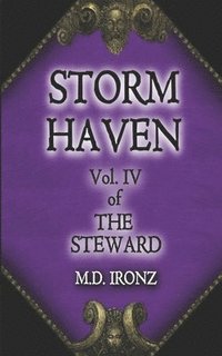 bokomslag Storm Haven