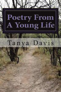 bokomslag Poetry From A Young Life: Volume 2