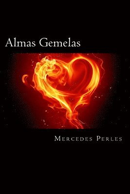 Almas Gemelas 1