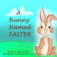 bokomslag A Bunny Named Easter