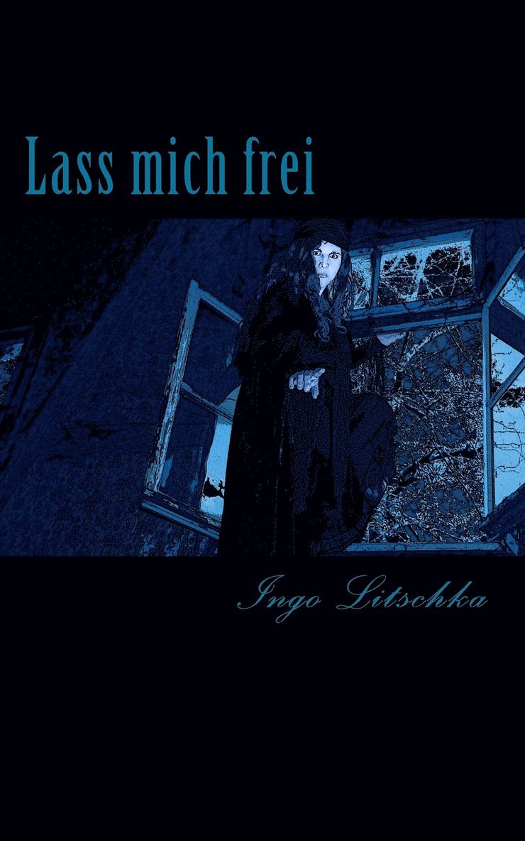 Ingo Litschka - Lass mich frei, Häftad