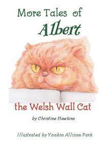 bokomslag More Tales of Albert: the Welsh Wall Cat