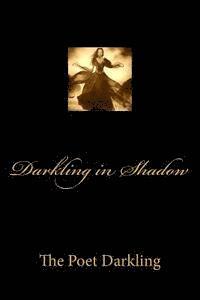 bokomslag Darkling in Shadow