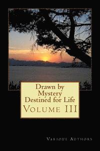 bokomslag Drawn by Mystery, Destined for Life (Volume III): Reflections on the Nairobi Chapter