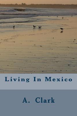 bokomslag Living In Mexico