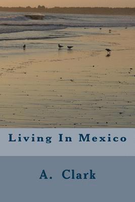 bokomslag Living In Mexico