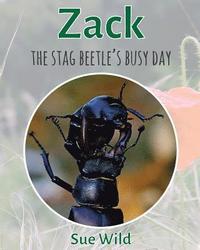 bokomslag Zack: The stag beetle's busy day