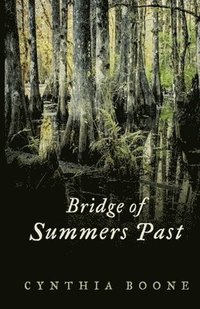 bokomslag Bridge of Summers Past