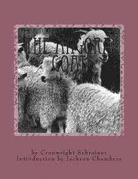 bokomslag The Angora Goat: Raising Goats Book 5