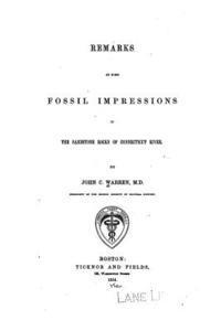 bokomslag Remarks on Some Fossil Impressions in the Sandstone Rocks of Connecticut River