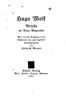 Heinrich Werner - Briefe an rosa Mayreder, Häftad