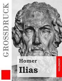 bokomslag Ilias (Großdruck)