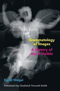 bokomslag Grammatology of Images