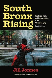 bokomslag South Bronx Rising