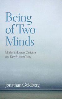 bokomslag Being of Two Minds