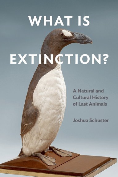 Joshua Schuster - What Is Extinction?, Häftad