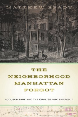 The Neighborhood Manhattan Forgot 1