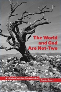 bokomslag The World and God Are Not-Two