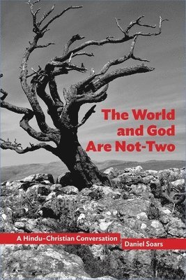 bokomslag The World and God Are Not-Two