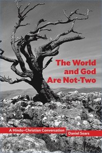 bokomslag The World and God Are Not-Two