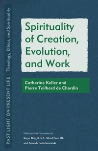 bokomslag Spirituality of Creation, Evolution, and Work