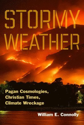 William E. Connolly, William E Connolly - Stormy Weather, Häftad