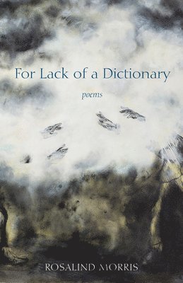 For Lack of a Dictionary 1