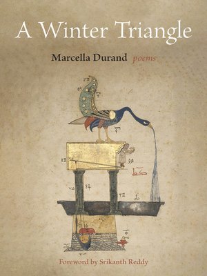 Winter Triangle 1