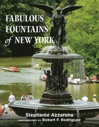 bokomslag Fabulous Fountains of New York