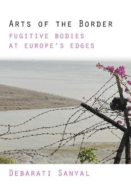 bokomslag Arts of the Border