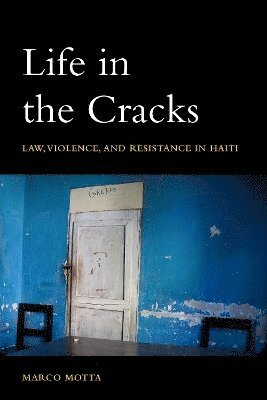 Life in the Cracks 1
