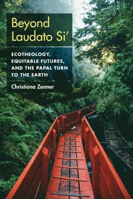 Christiana Zenner - Beyond Laudato Si', Häftad