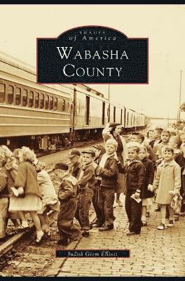 bokomslag Wabasha County