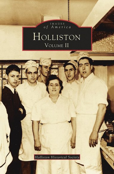 bokomslag Holliston, Volume II