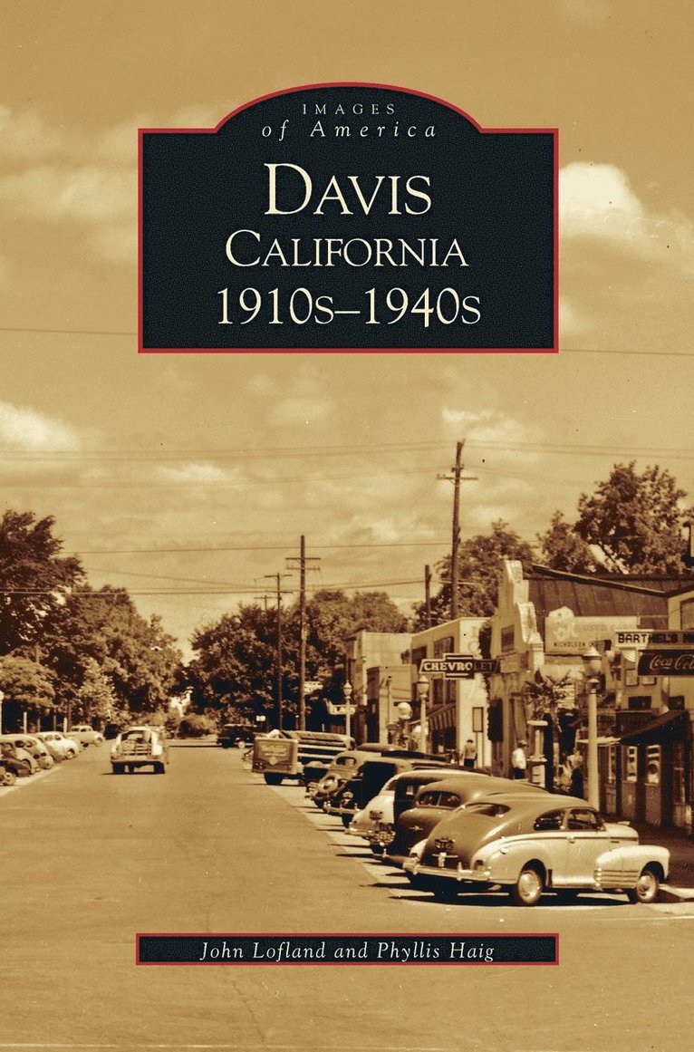 John Lofland, Phyllis Haig - Davis, California, Inbunden