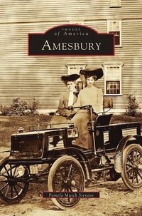 bokomslag Amesbury