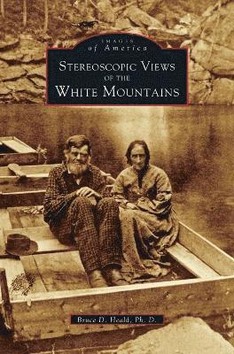 Bruce D Heald - Stereoscopic View of the White Mountains, Inbunden