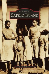 bokomslag Sapelo Island