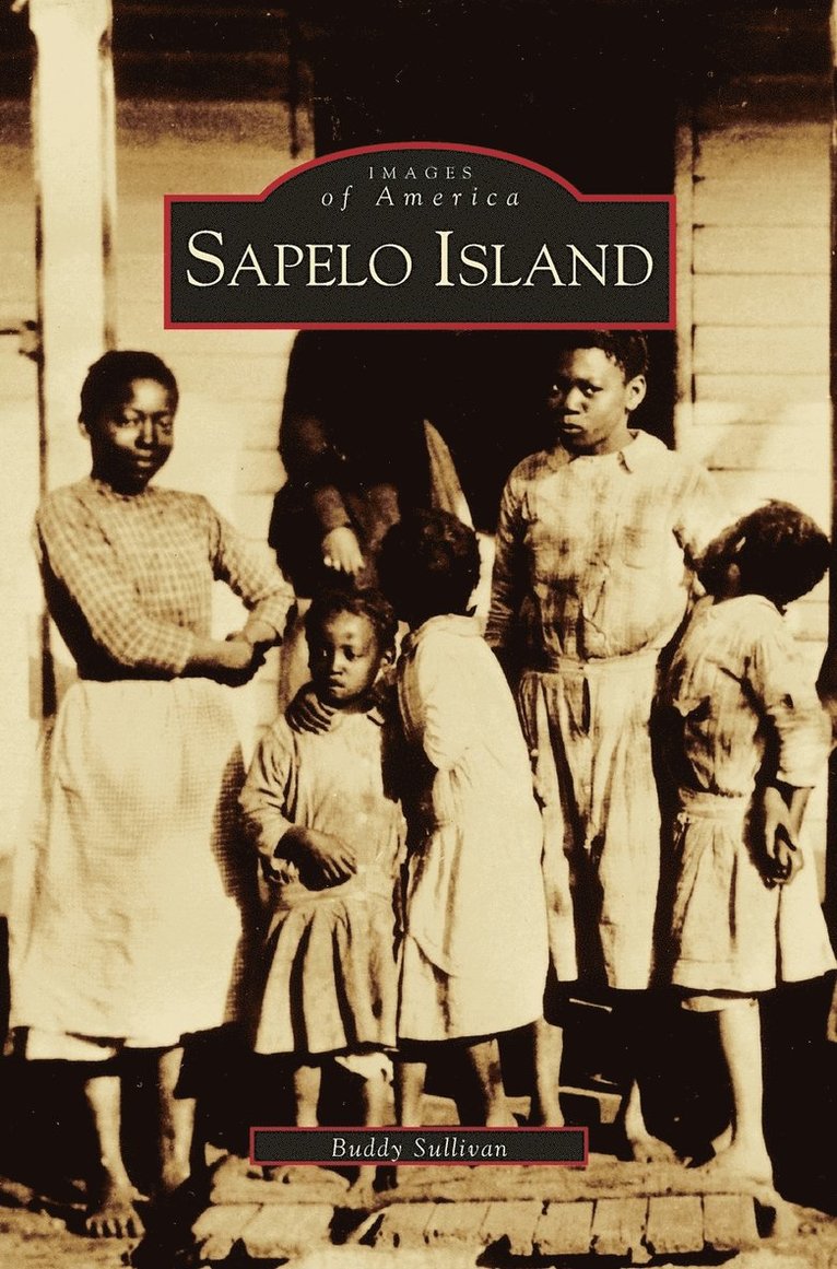 Sapelo Island 1