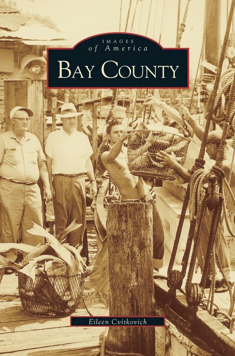 Bay County 1