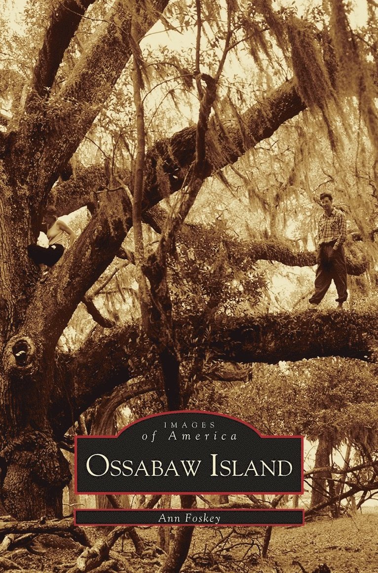 Ossabaw Island 1