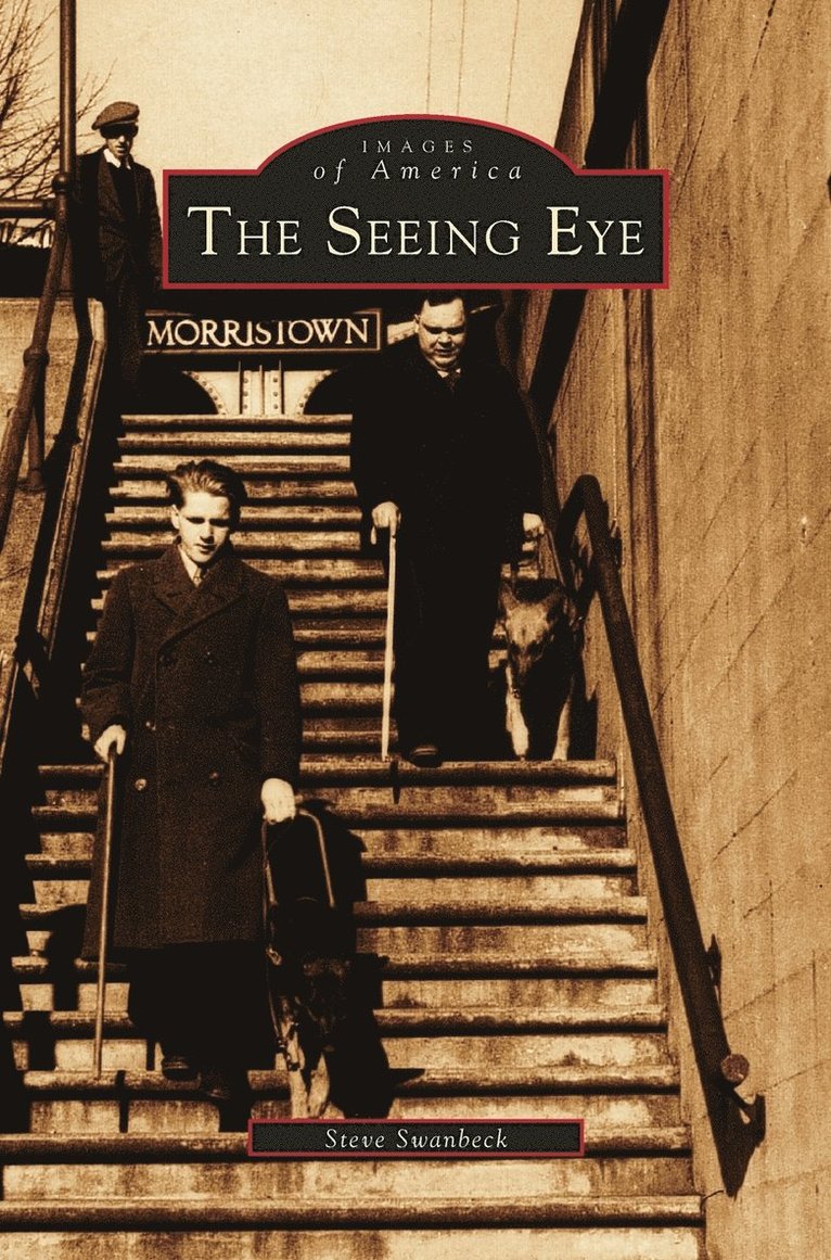 Seeing Eye