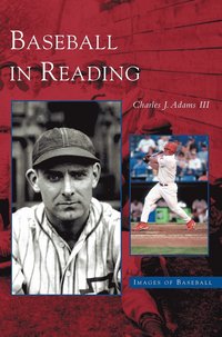 bokomslag Baseball in Reading