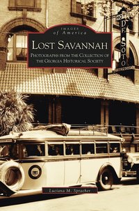 bokomslag Lost Savannah