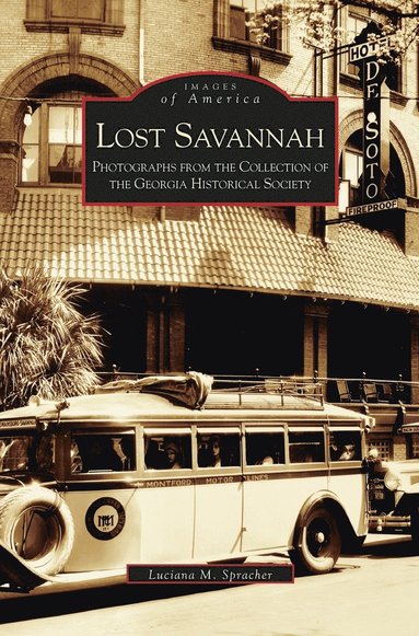 bokomslag Lost Savannah