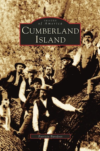 bokomslag Cumberland Island