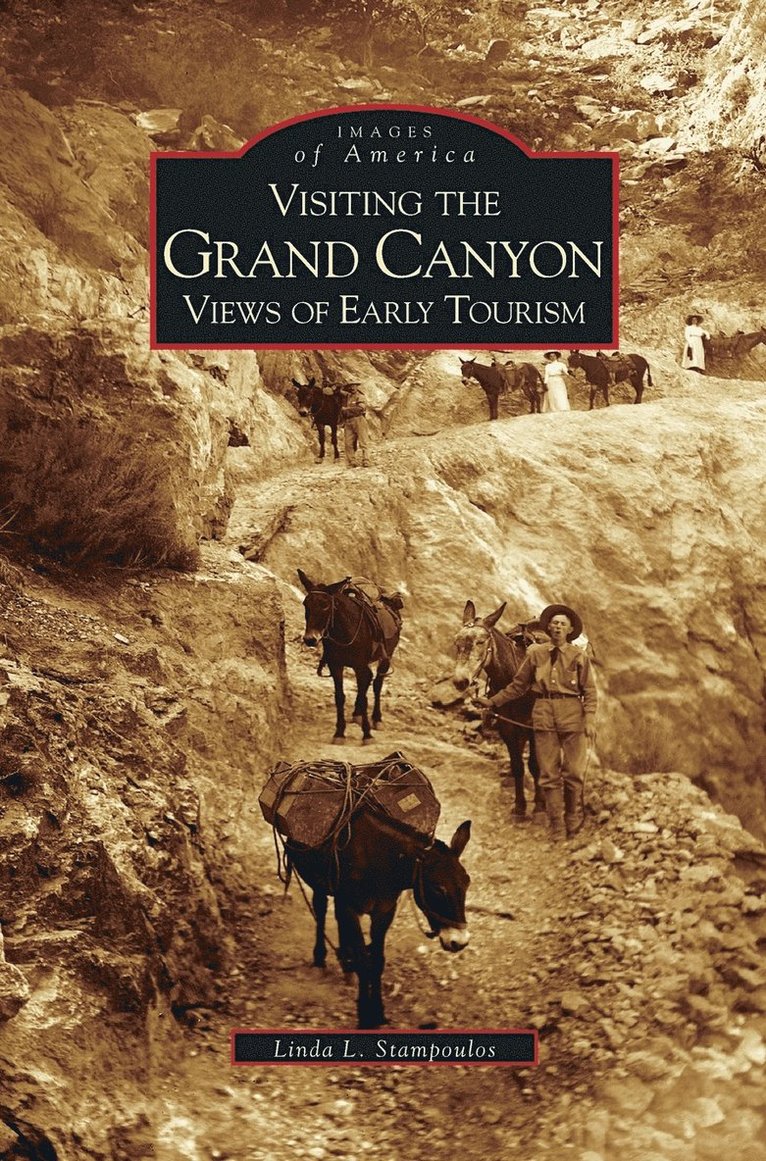 Visiting the Grand Canyon 1
