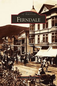 bokomslag Ferndale