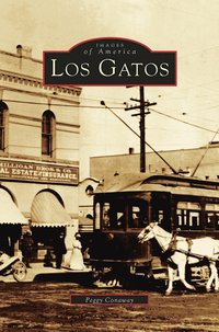 bokomslag Los Gatos