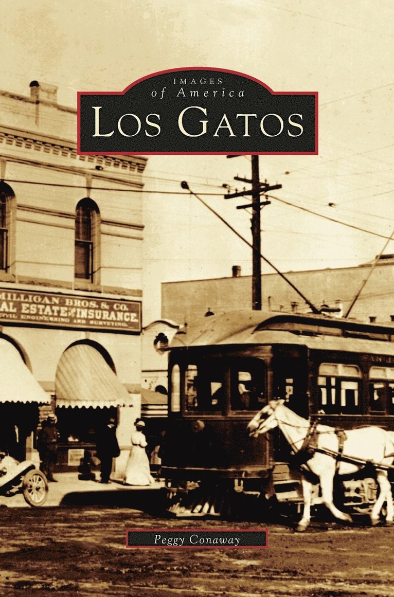 Los Gatos